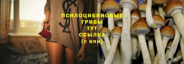 винт Переславль-Залесский