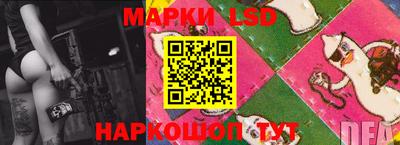PSILOCYBIN Заволжье