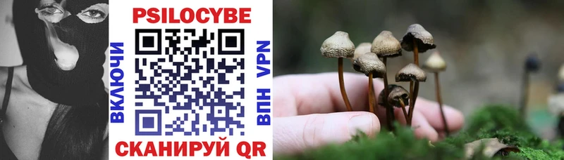 ОМГ ОМГ ССЫЛКА  площадка официальный сайт  Галлюциногенные грибы Psilocybe  Биробиджан 