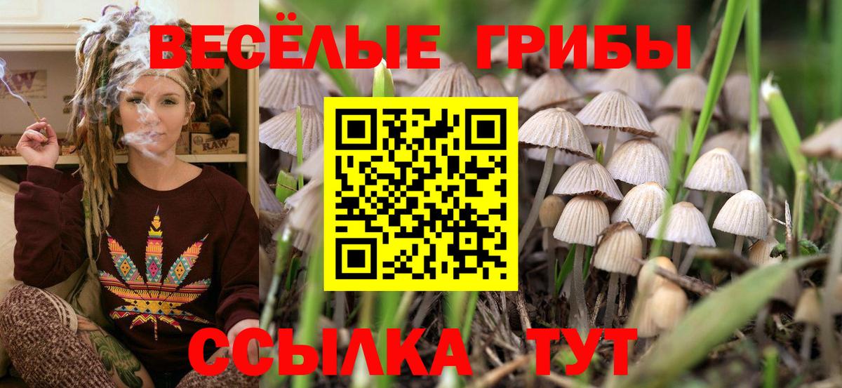 Биробиджан  Псилоцибиновые грибы Magic Shrooms  Вход с VPN 