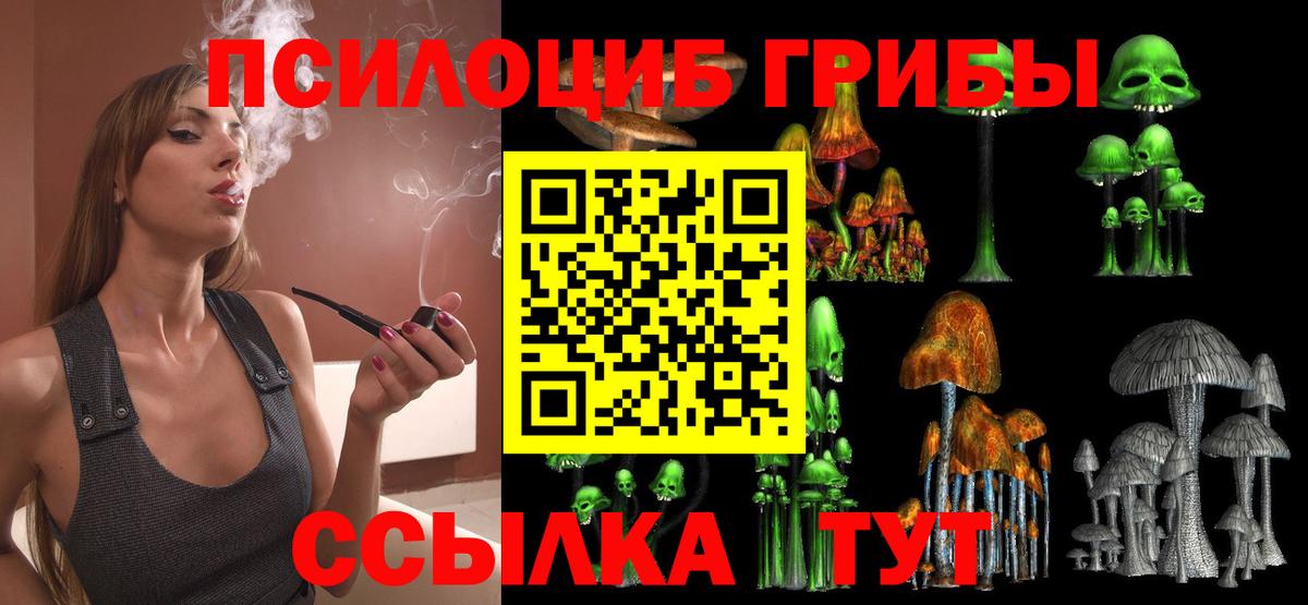 Псилоцибиновые грибы Cubensis Биробиджан